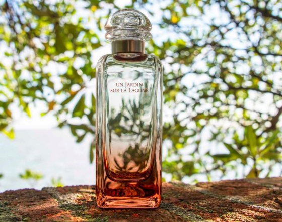 hermes paris un jardin sur la lagune